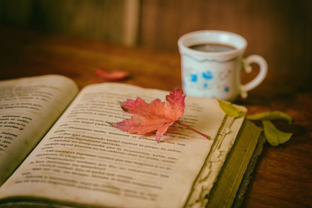 leaves, nature, coffee-1076307.jpg